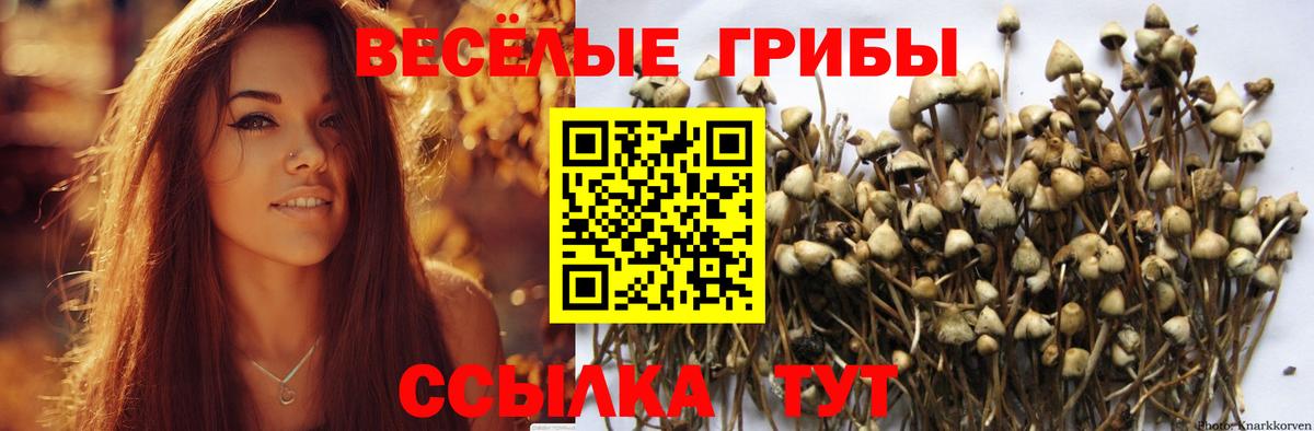 Галлюциногенные грибы MAGIC MUSHROOMS Тихвин
