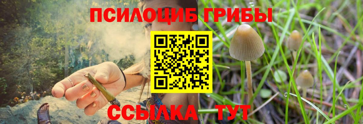 Галлюциногенные грибы GOLDEN TEACHER  Вход с VPN  Тихвин 