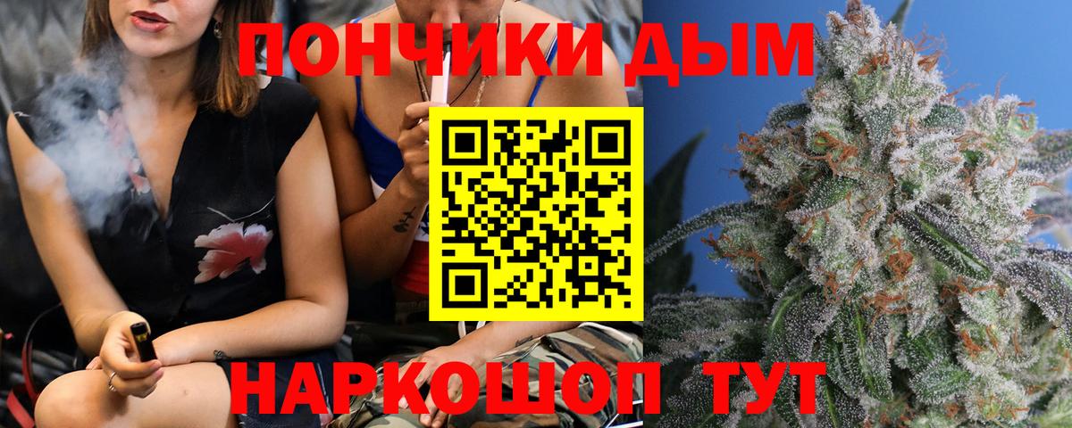 Бошки марихуана SATIVA & INDICA  Каннабис сатива  Канабис сатива  Вход с VPN  Тихвин 